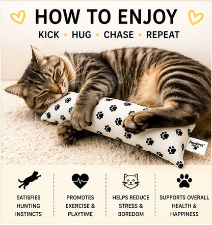 Pawbros™ Mega Catnip Kicker