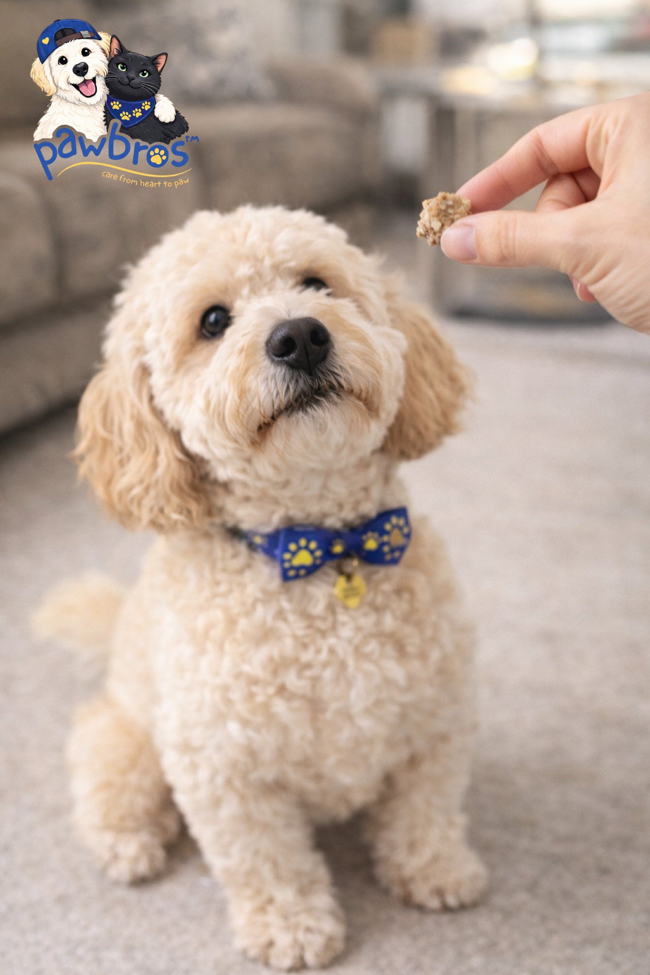 Pawbros™ Chicken Oat Bites - pawbros™