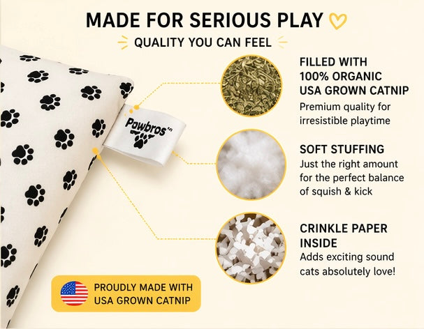Pawbros™ Mega Catnip Kicker